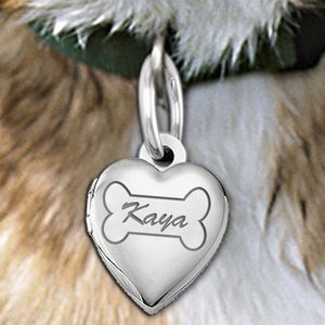 Dog Bone Heart Picture Locket