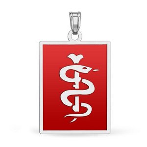 Sterling Silver Medical ID Rectangle Charm or Pendant with Red Enamel