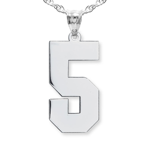 High Polished Single Digit Number Charm or Pendant